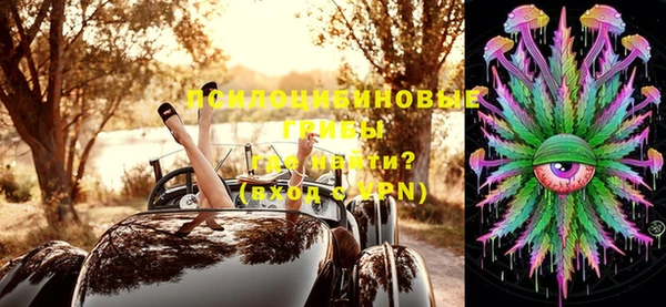 тгк Козловка